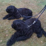 Foto van @nita & hoby
