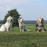 Foto van Melissa, Dempsey, Taiko, Minos & *Nina*