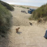 Foto van liesbeth,Turbo,Luna, Levi en Faith