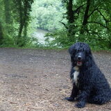 Foto van Coen