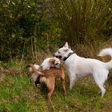 Foto van Hetty & Skipper