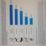 Uitslag DNA-test Rocky (2)