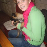 Storm Met Baasje 3..
