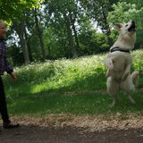 Foto van Alexandra & Mikey