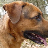 Foto van martin,kimberly.max