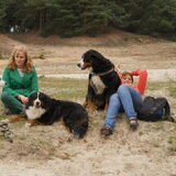 Zitten in het zand