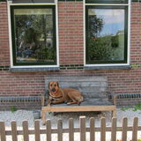 Protecting the house (not)