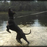 Sky Jumping !