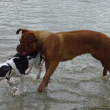 Foto van angela/indy/wodan