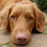 Foto van judith