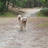 Foto van lesly
