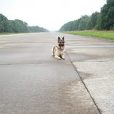 op wacht ursel 2009