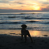 27-9-2013 de eerste keer op het strand met 13 weken