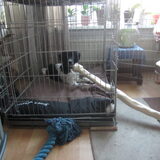 Foto van Michelle & Bentley