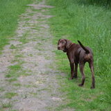 Wandelen.