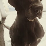 Foto van Kelly