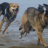 Foto van Ina, Misty en Aysa