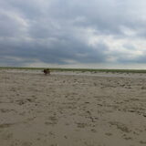 Foto van Ina, Misty en Aysa