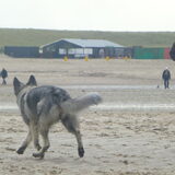 Foto van Ina, Misty en Aysa