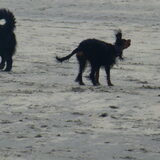 Foto van Ina, Misty en Aysa