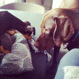 Samen spelen.