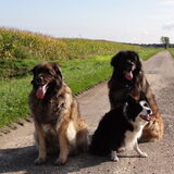 Foto van elianne
