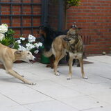 Foto van Ina, Misty en Aysa
