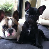 Foto van Jurgen, Veke, Zinah & Milly