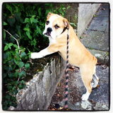 wat?....ik...was...alleen...aan...het...snuffelen...:)