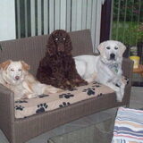 Met z'n drie in de verande.