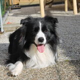 Foto van Vivian   <3    Sem