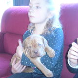 bo bij tatum op schoot