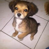 mickey, zoontje van molly, kijkt mama lief aan omdat hij wilt eten.
