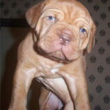 ahhh wat kan ze lief kijken he... 27/28 dagen oud..