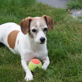 Foto van Mattie