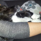 Liefste foto OOIT!