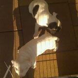 Foto Tailer