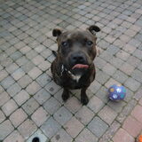 Foto van Elly
