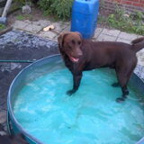Hier onze Raico