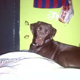 Bij baasje op bed geslapen :D