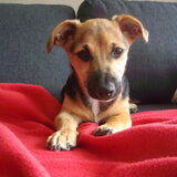 Hier is toetje 5 maanden..!