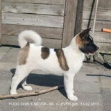 Foto van Coby