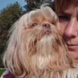 Foto van liesbeth,Turbo,Luna, Levi en Faith