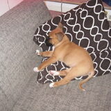 Haha... xxx
