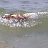 strand monster. Zie mij hier lekker zwemmen.