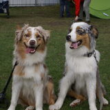 broer en zus