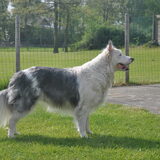 Nona.