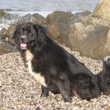29-10-2013 van al dat water moet ik even pipi doen
