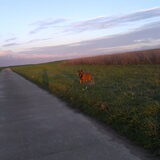 Stormachtig, maar toch een mooie Zonsondergang 28 okt 2013