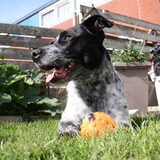 Foto van Jacintha